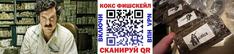 mega зеркало  Заречный  Кокаин Columbia  купить наркотики сайты 