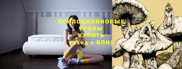 стафф Верея