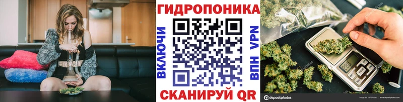Каннабис ГИДРОПОН  наркошоп  ОМГ ОМГ вход  Заречный 